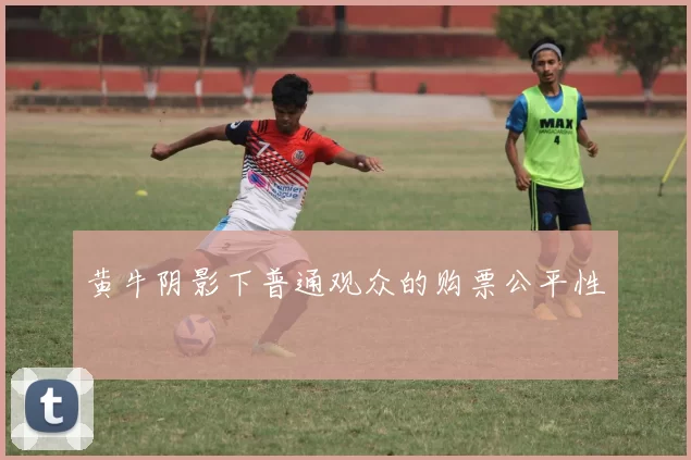 黄牛阴影下普通观众的购票公平性