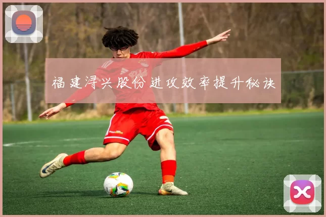 福建浔兴股份进攻效率提升秘诀
