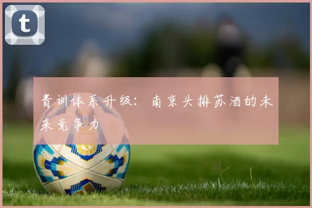 青训体系升级：南京头排苏酒的未来竞争力