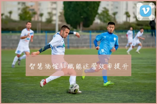 智慧场馆AI赋能运营效率提升
